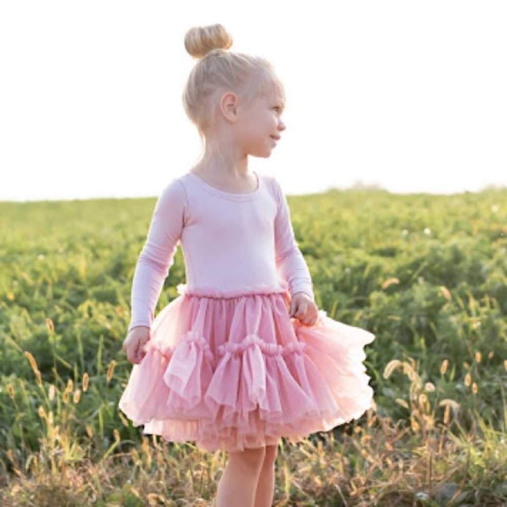 NWT. Soft Pink Tulle Tutu Long Sleeve Dress.